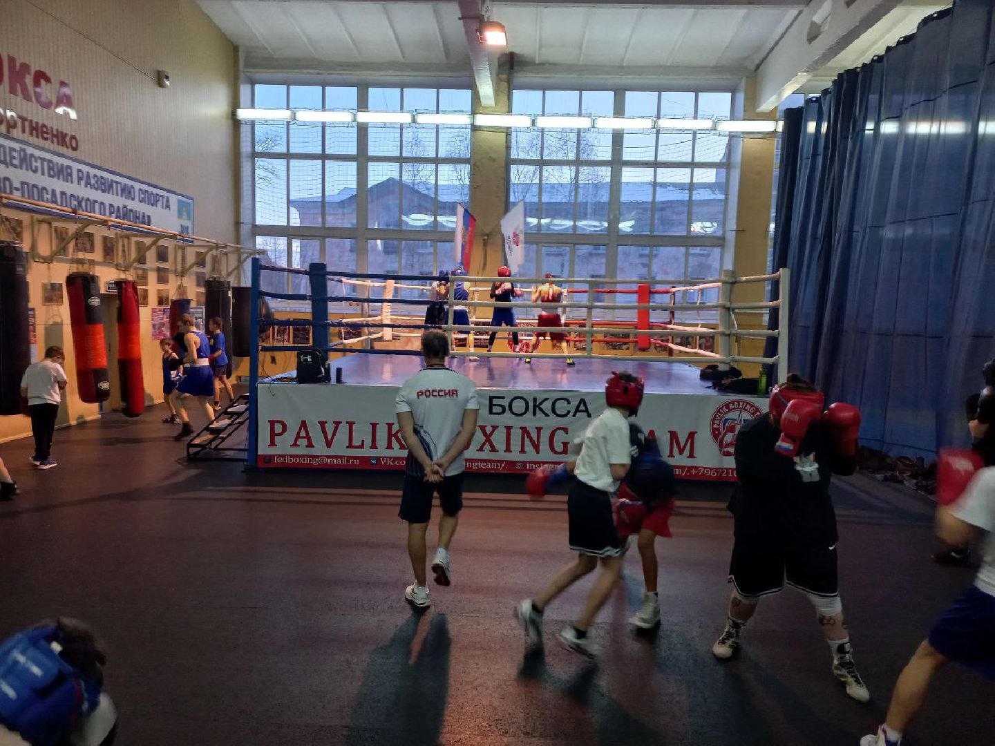 сергиев посад, бокс, первенство мо по боксу, зал портненко, алексей павлик, степан цыганов,луч,