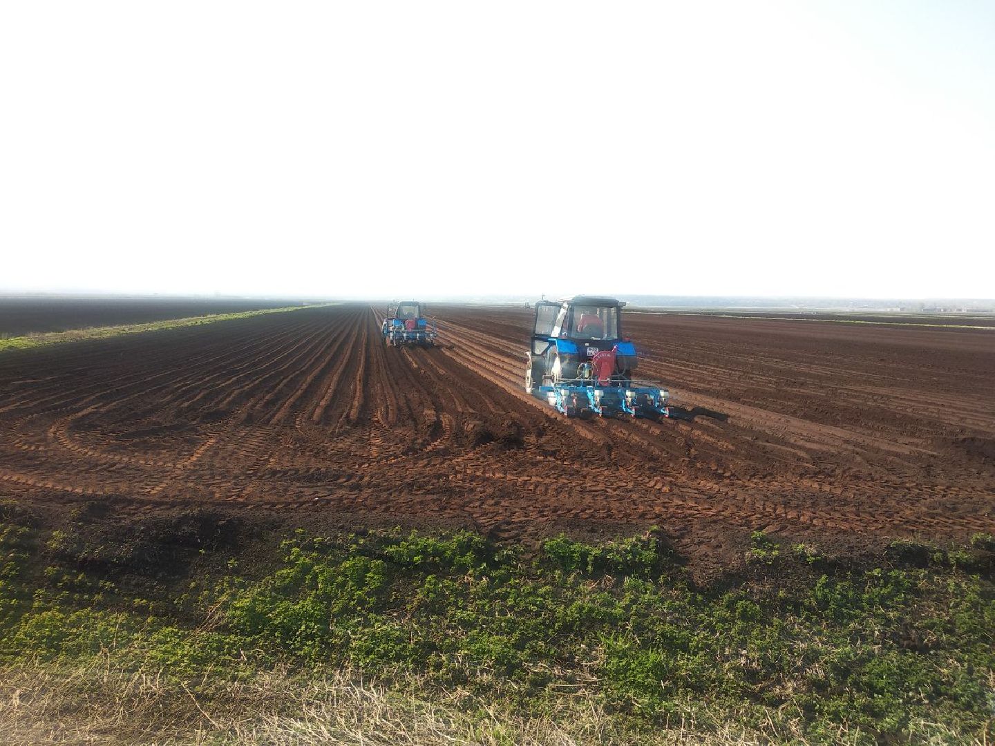 Дмитров, Мосагрофуд, Минсельхоз МО