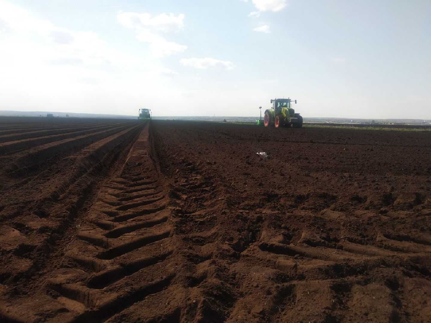 Дмитров, Мосагрофуд, Минсельхоз МО