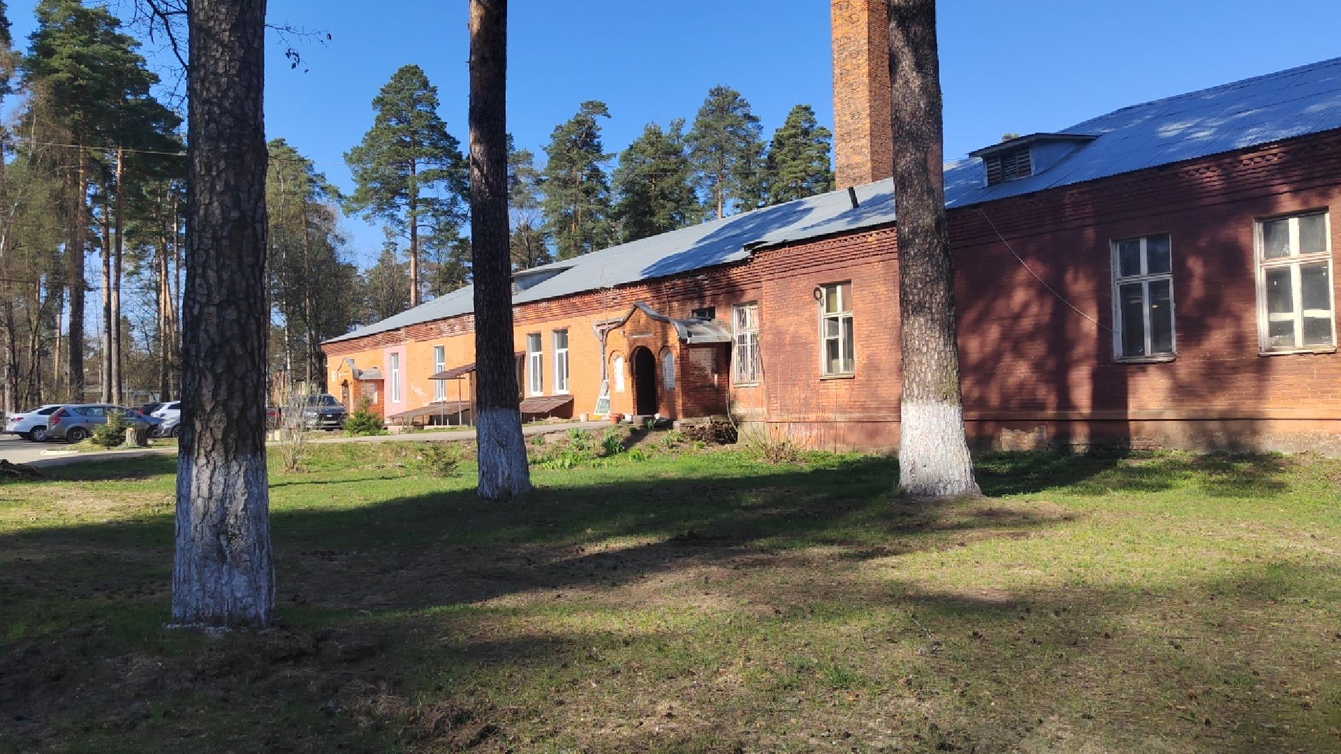 Пушкино, медицина, здравоохранение, Пушкинский округ