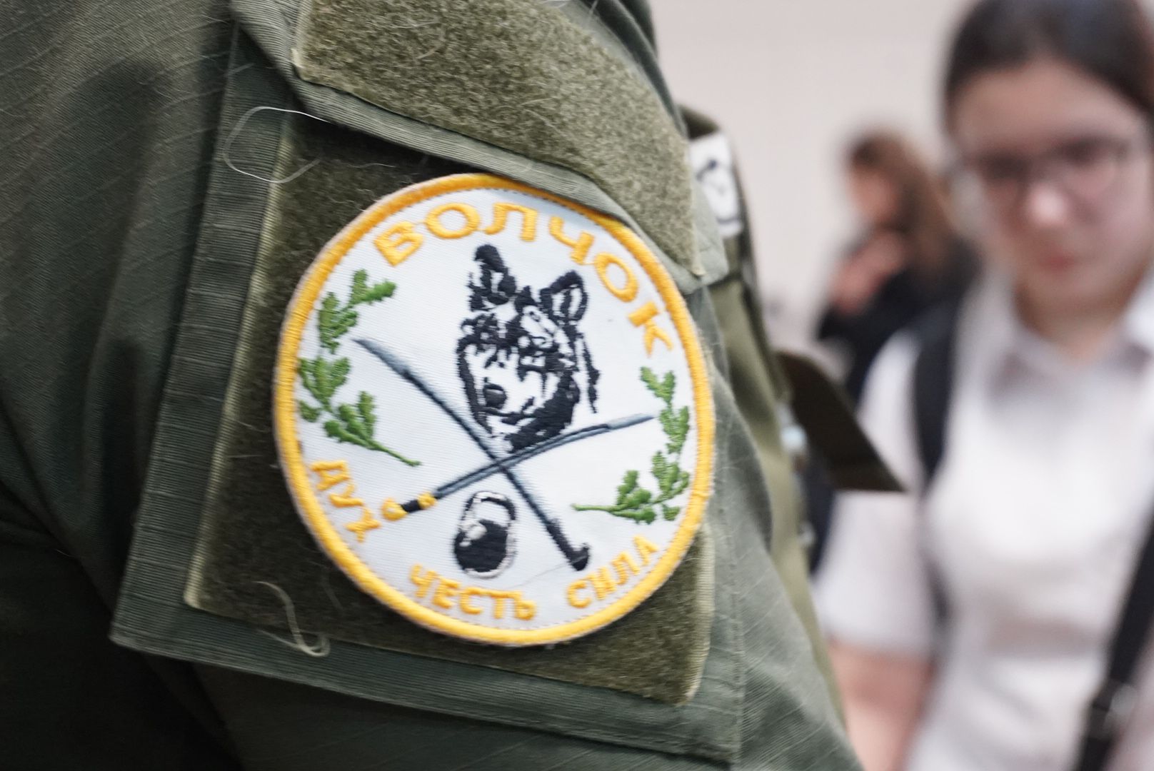 вертикалки, Павловский Посад, Образование,