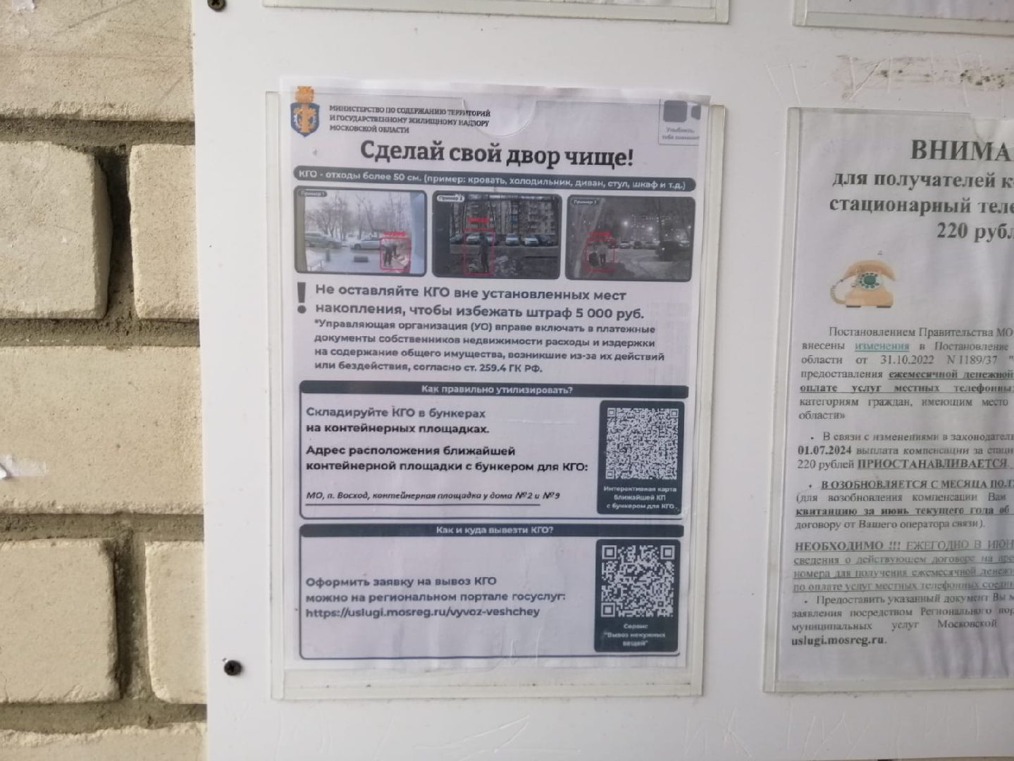 городской округ восход, сделай свой двор чище, вертикалки,незаконный выброс мусора,