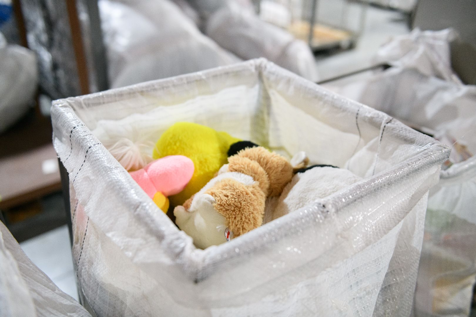 благодарный шкаф, лыткарино, благоустройство, экология, экологическое мышление, вертикалки,