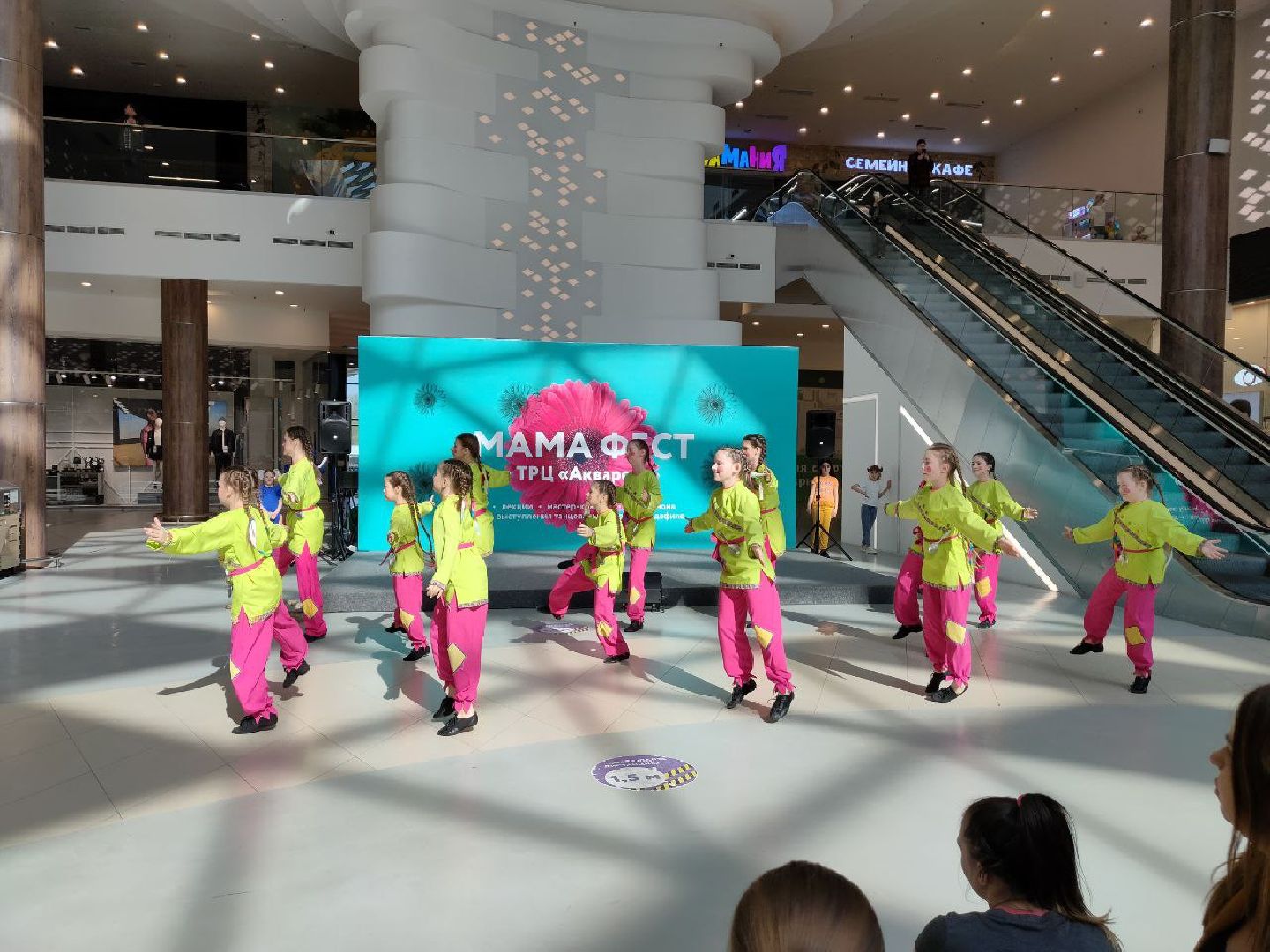 Пушкино, Единая Россия, многодетные семьи, творчество, Пушкинский округ