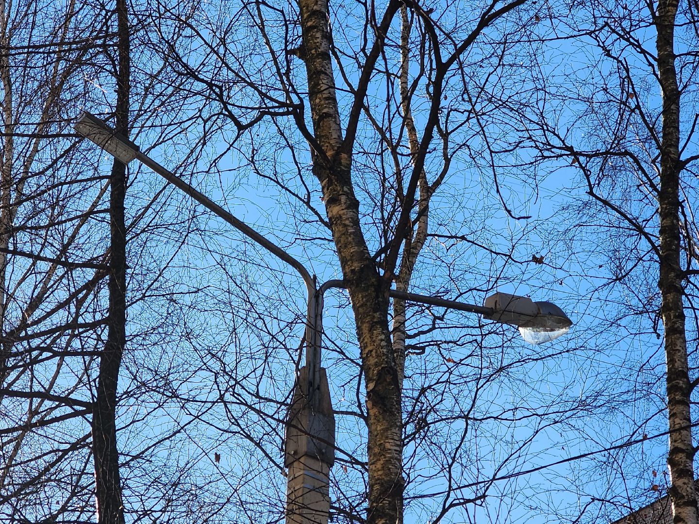 пушкино, фонарь, ремонт, освещение улиц,