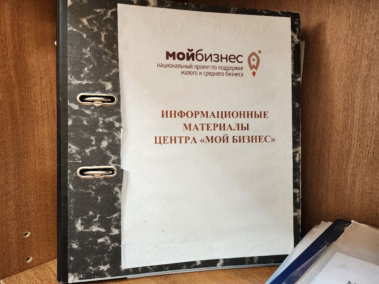 фрязино, малый бизнес, средний бизнес, самозанятые, мой бизнес, субсидии,