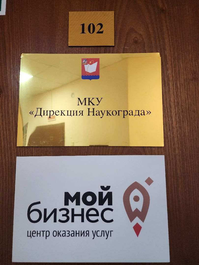 фрязино, малый бизнес, средний бизнес, самозанятые, мой бизнес, субсидии,