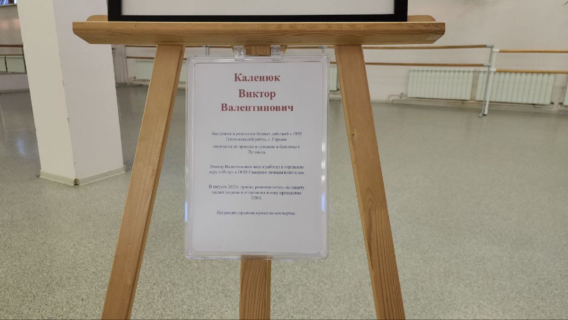 Портреты, Выставка, Рисование, Истра,сво,