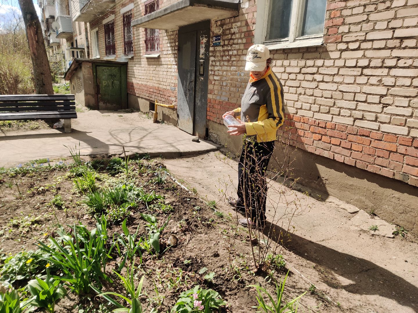 Красноармейск, Пушкинский, субботник, цветник, клумбы