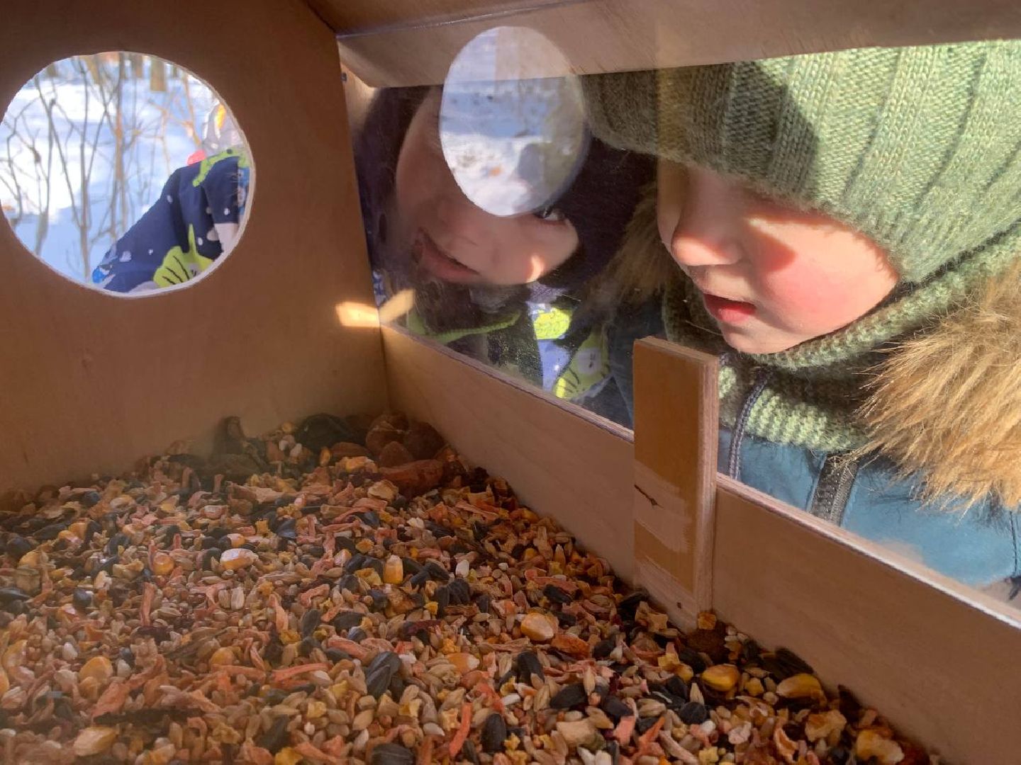 долгопрудный, парк на молодежной, Кормушки для белок, мыльные пузыри, аниматоры, вертикалки,