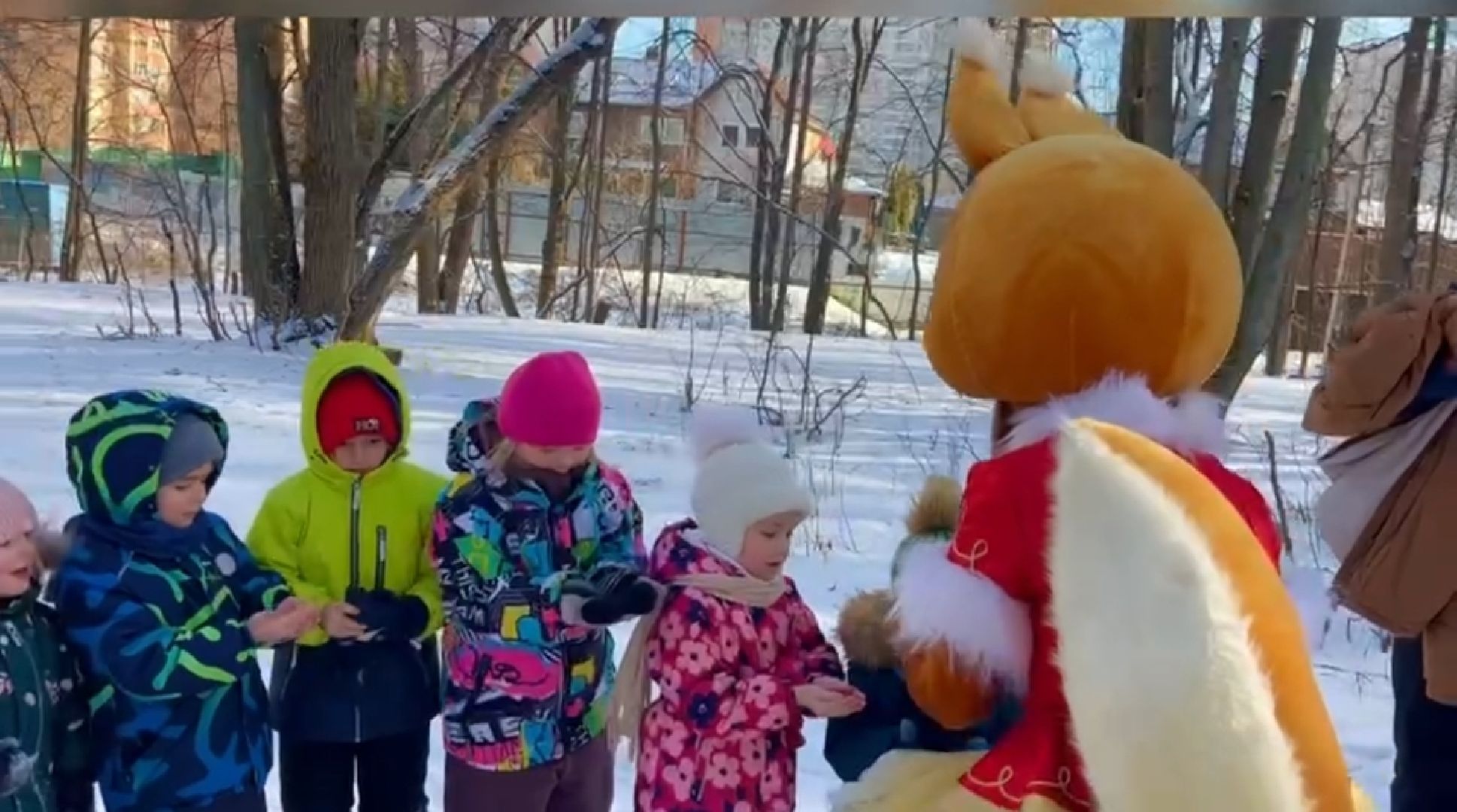 долгопрудный, парк на молодежной, Кормушки для белок, мыльные пузыри, аниматоры, вертикалки,