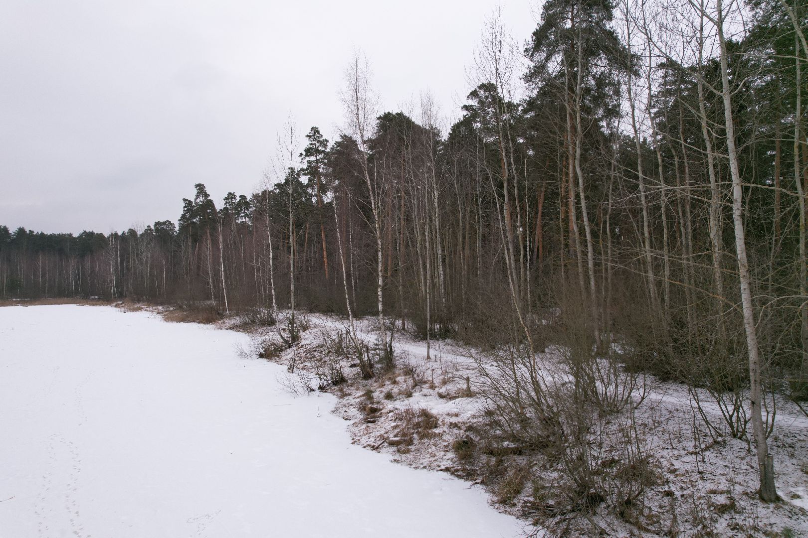 видео с коптера, орехово-зуево, благоустройство парка,