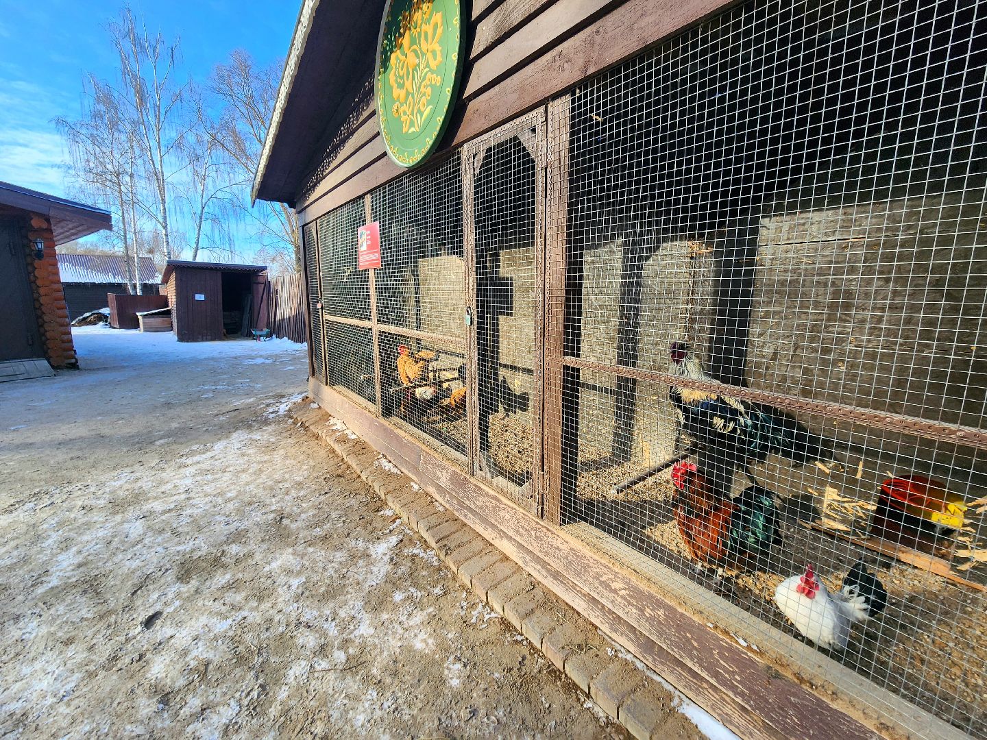 пущино, серпухов, животные, зоопарк, зима в подмосковье,