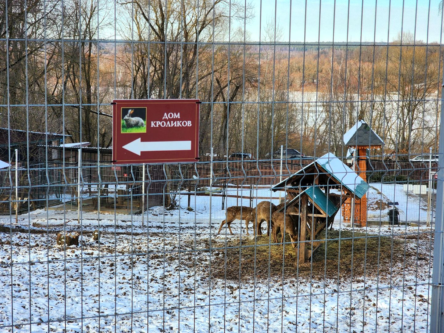 пущино, серпухов, животные, зоопарк, зима в подмосковье,