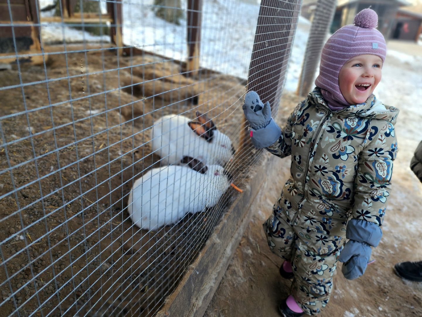 пущино, серпухов, животные, зоопарк, зима в подмосковье,