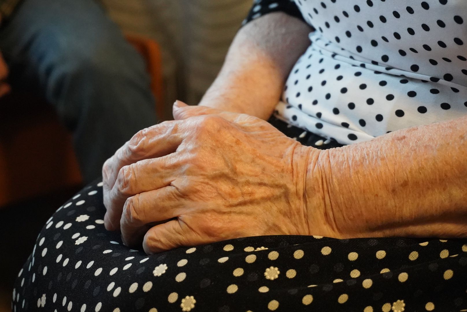 павловский посад, вертикалки, ветеран,