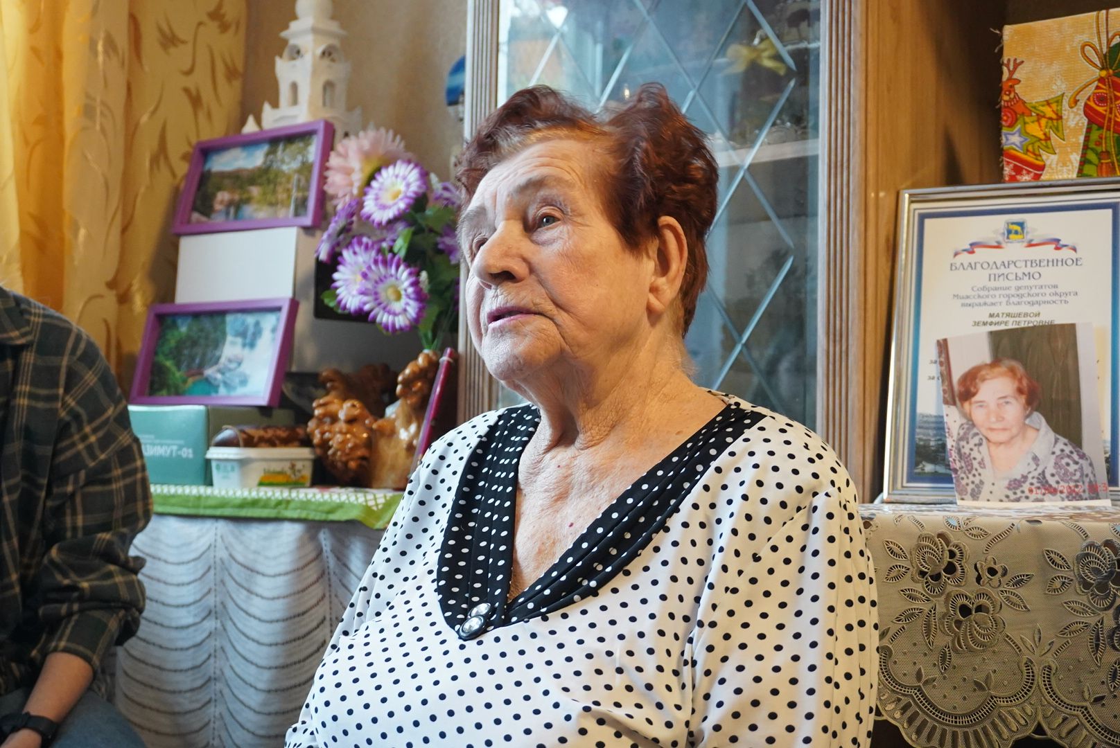 павловский посад, вертикалки, ветеран,