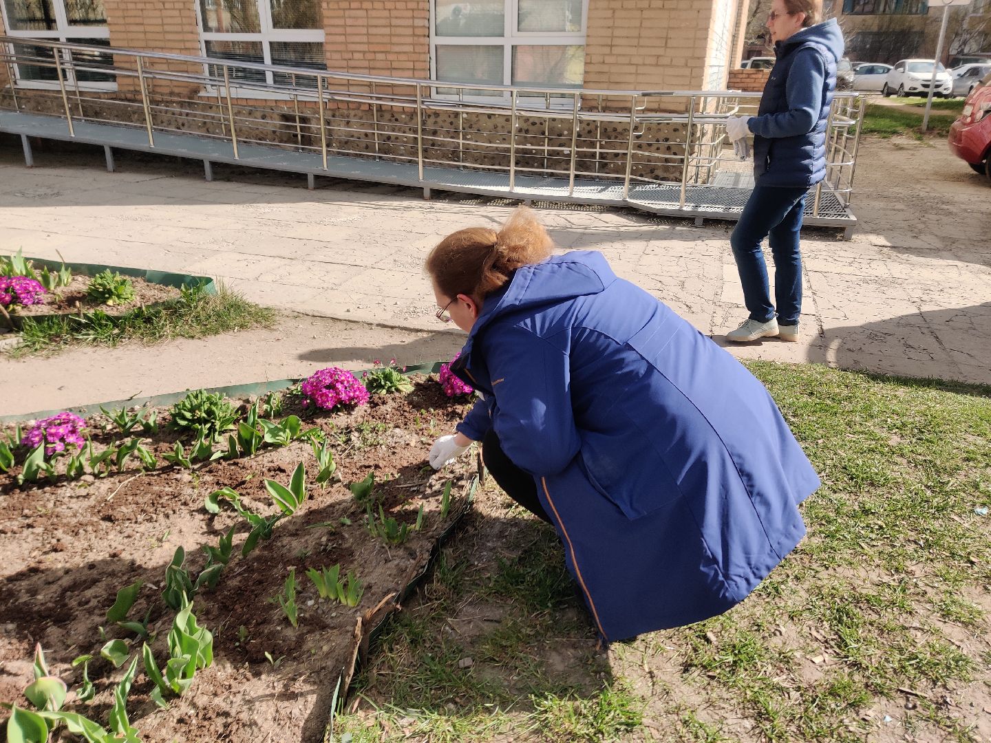 Красноармейск, Пушкинский, клумбы, субботник, весенние цветы