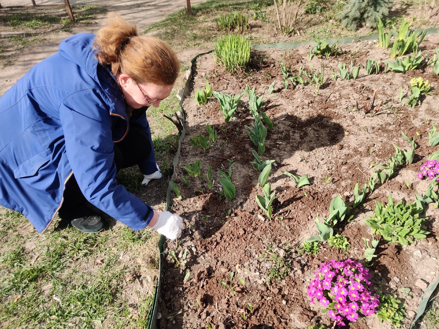 Красноармейск, Пушкинский, клумбы, субботник, весенние цветы
