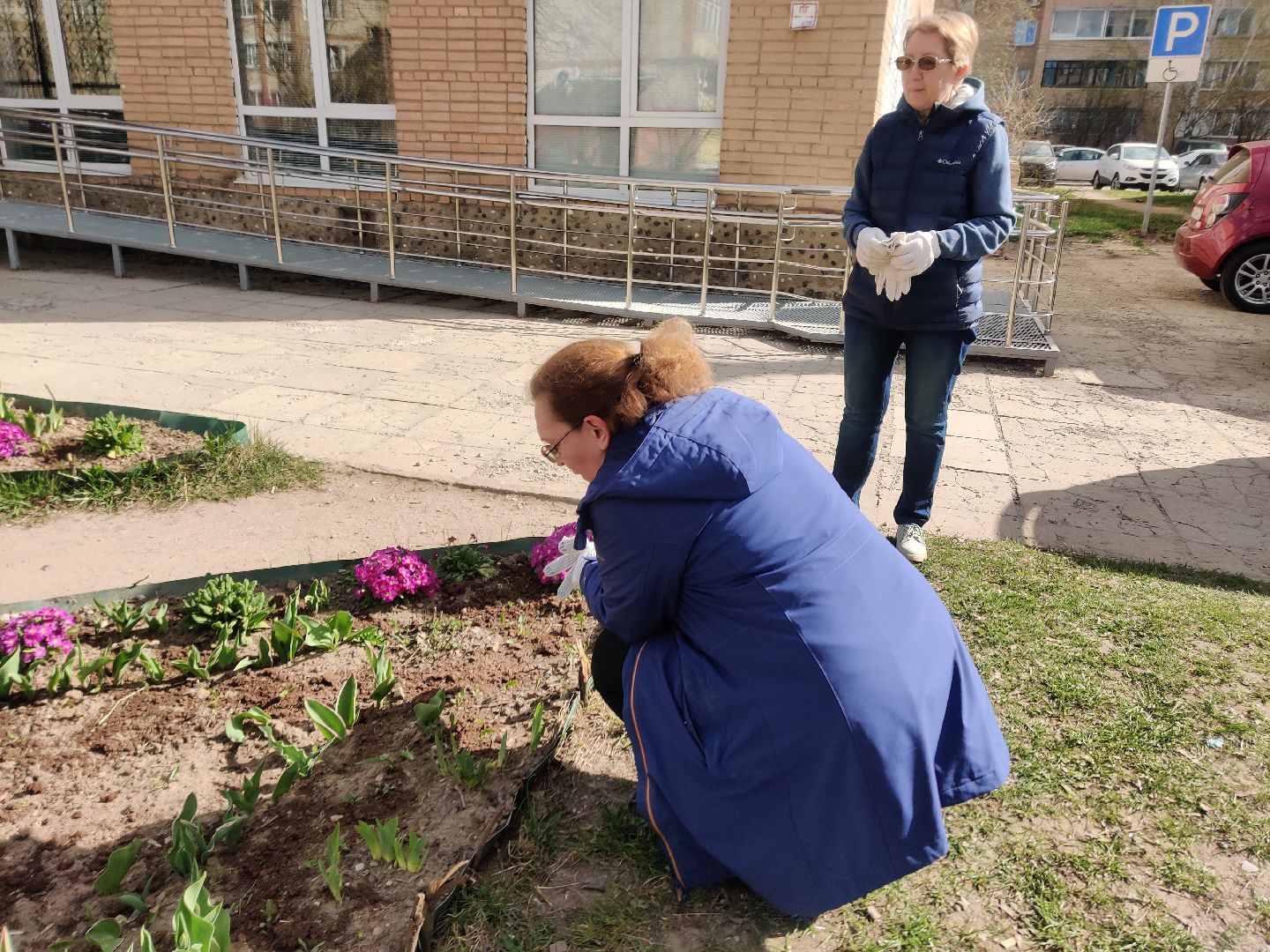 Красноармейск, Пушкинский, клумбы, субботник, весенние цветы