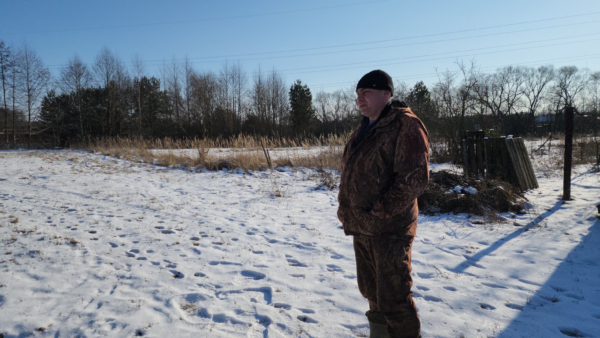 лес, животные, шатура, вертикалки,