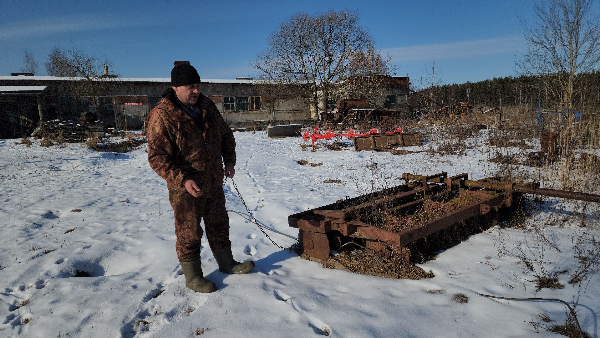 лес, животные, шатура, вертикалки,