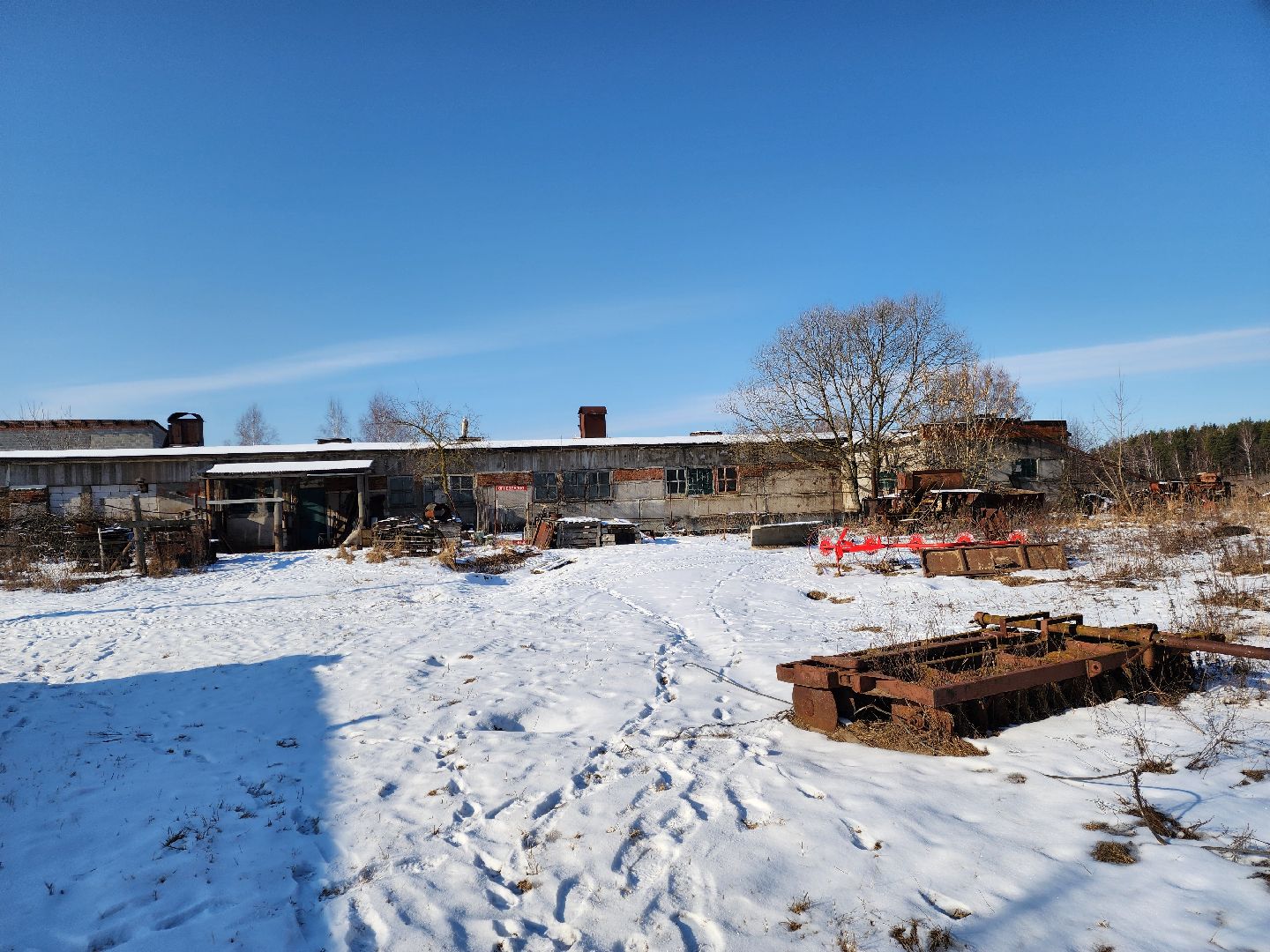 лес, животные, шатура, вертикалки,