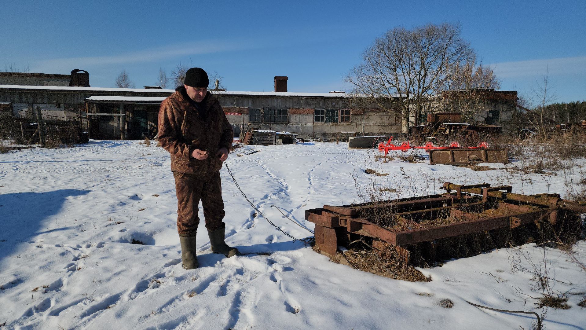 лес, животные, шатура, вертикалки,