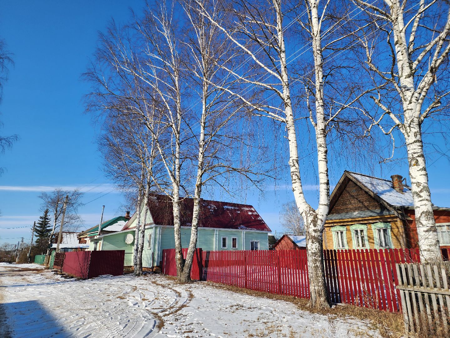 лес, животные, шатура, вертикалки,