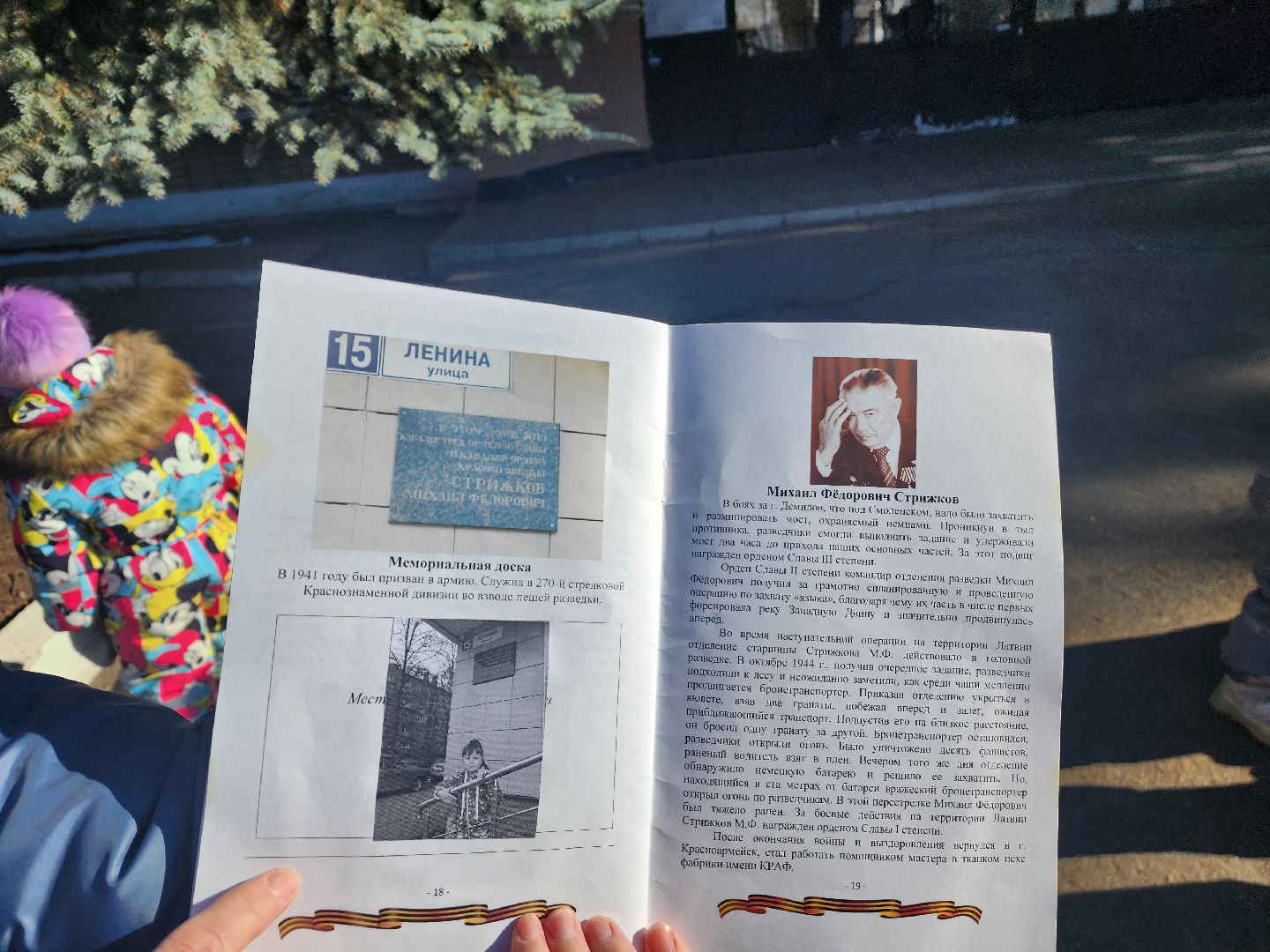 красноармейск, городской округ пушкинский, 80 - летие победы, вертикалки, дошкольное образование,