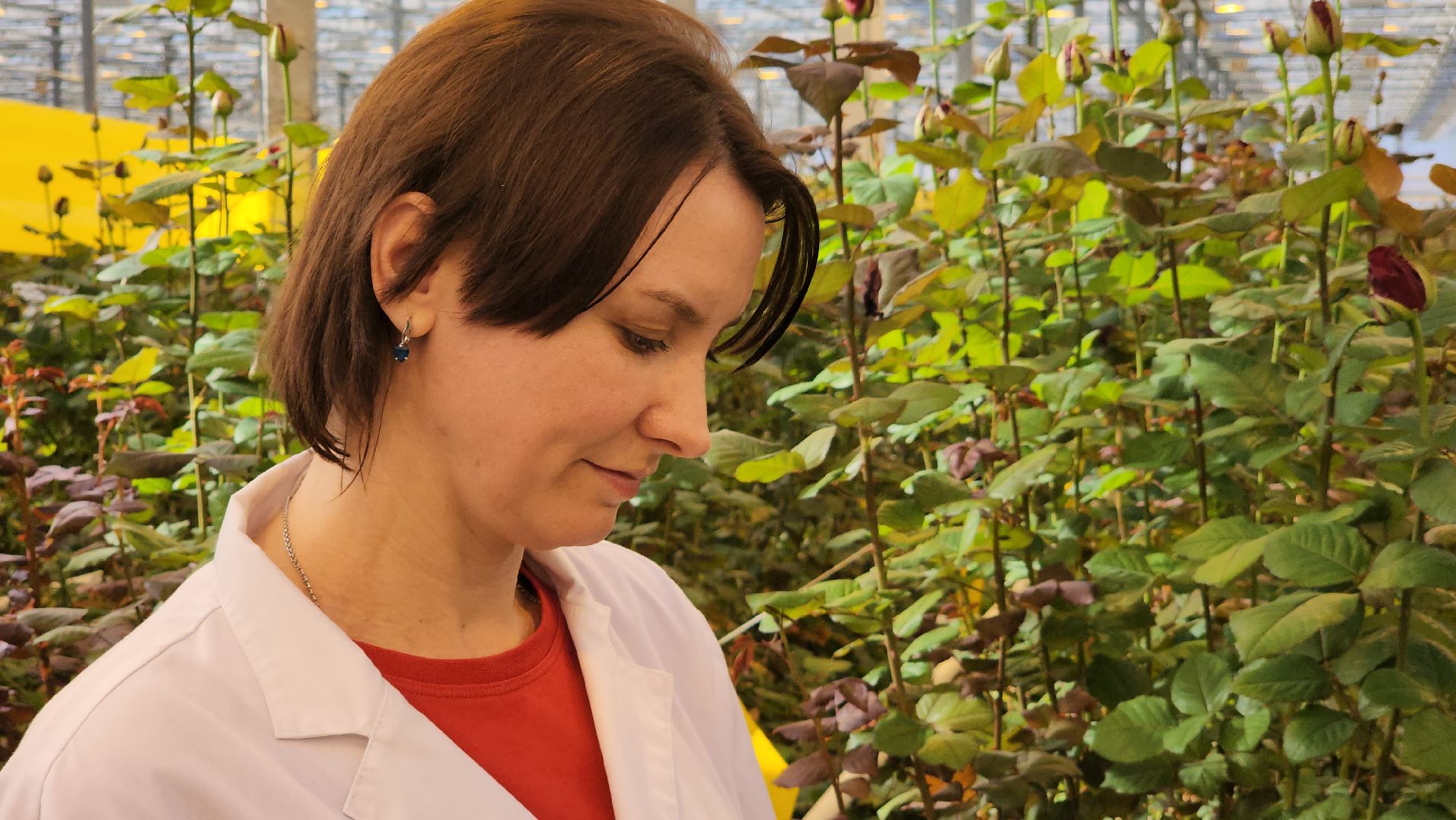 ступино, день победы, ура победе,