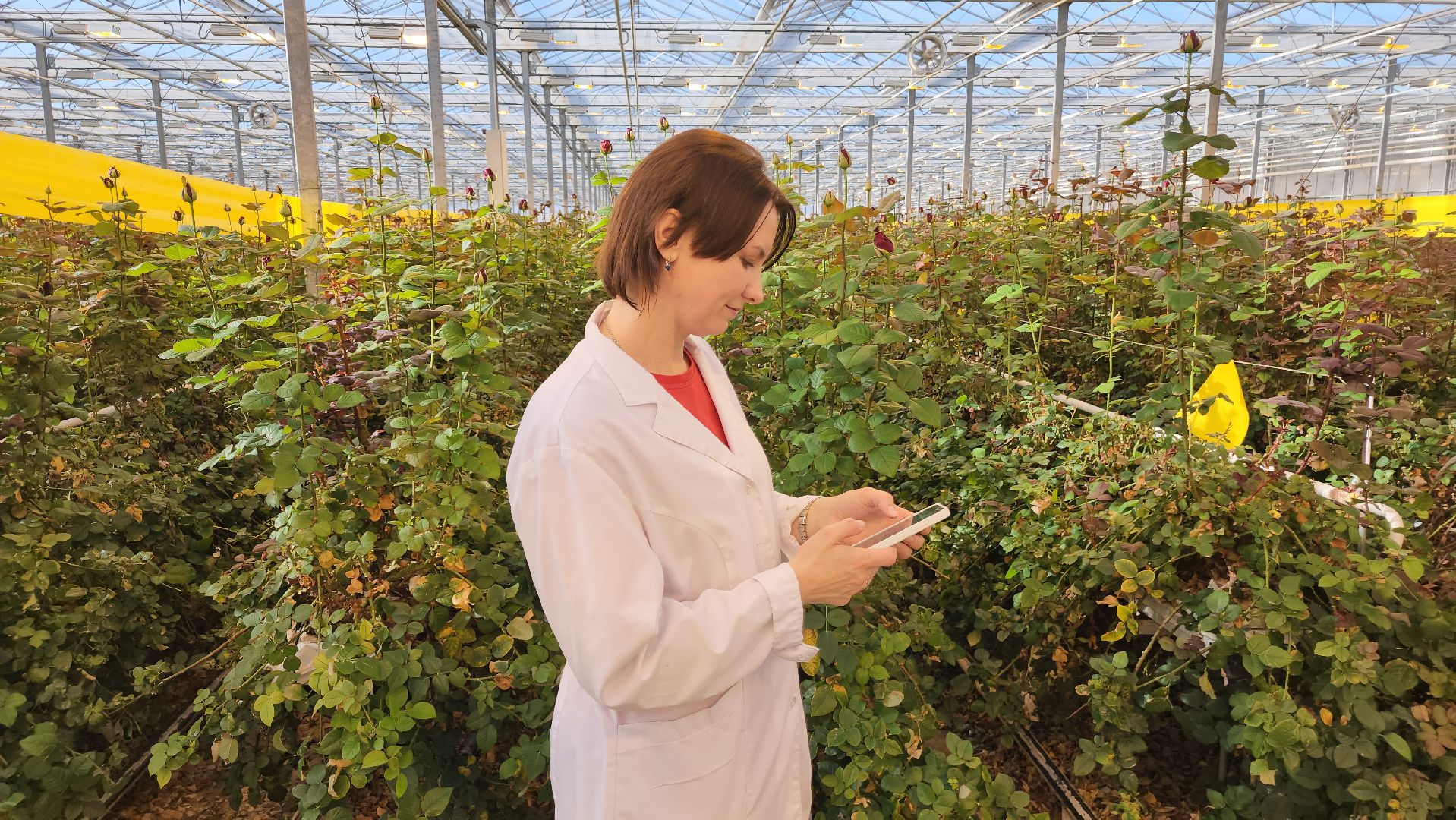 ступино, день победы, ура победе,