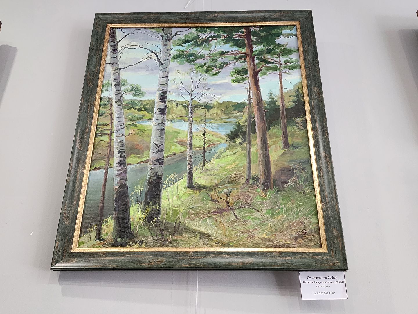 вертикали, мытищи, выставка,