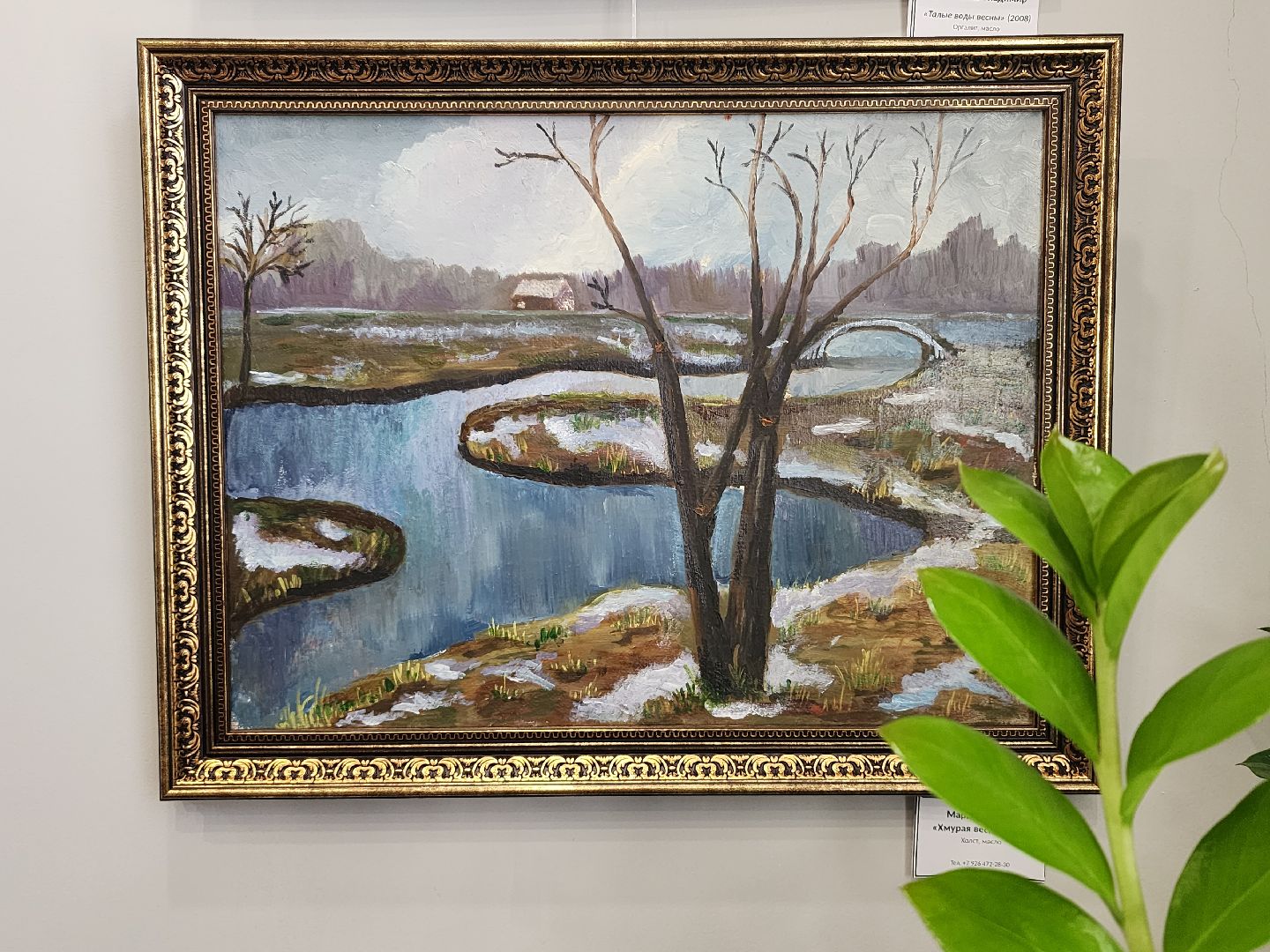 вертикали, мытищи, выставка,