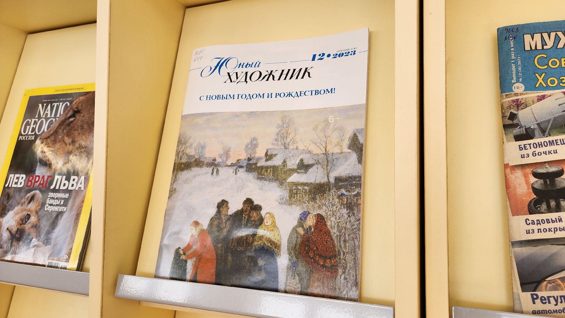 кашира, художник, живопись, картина, вертикальное, библиотека, вертикалки,