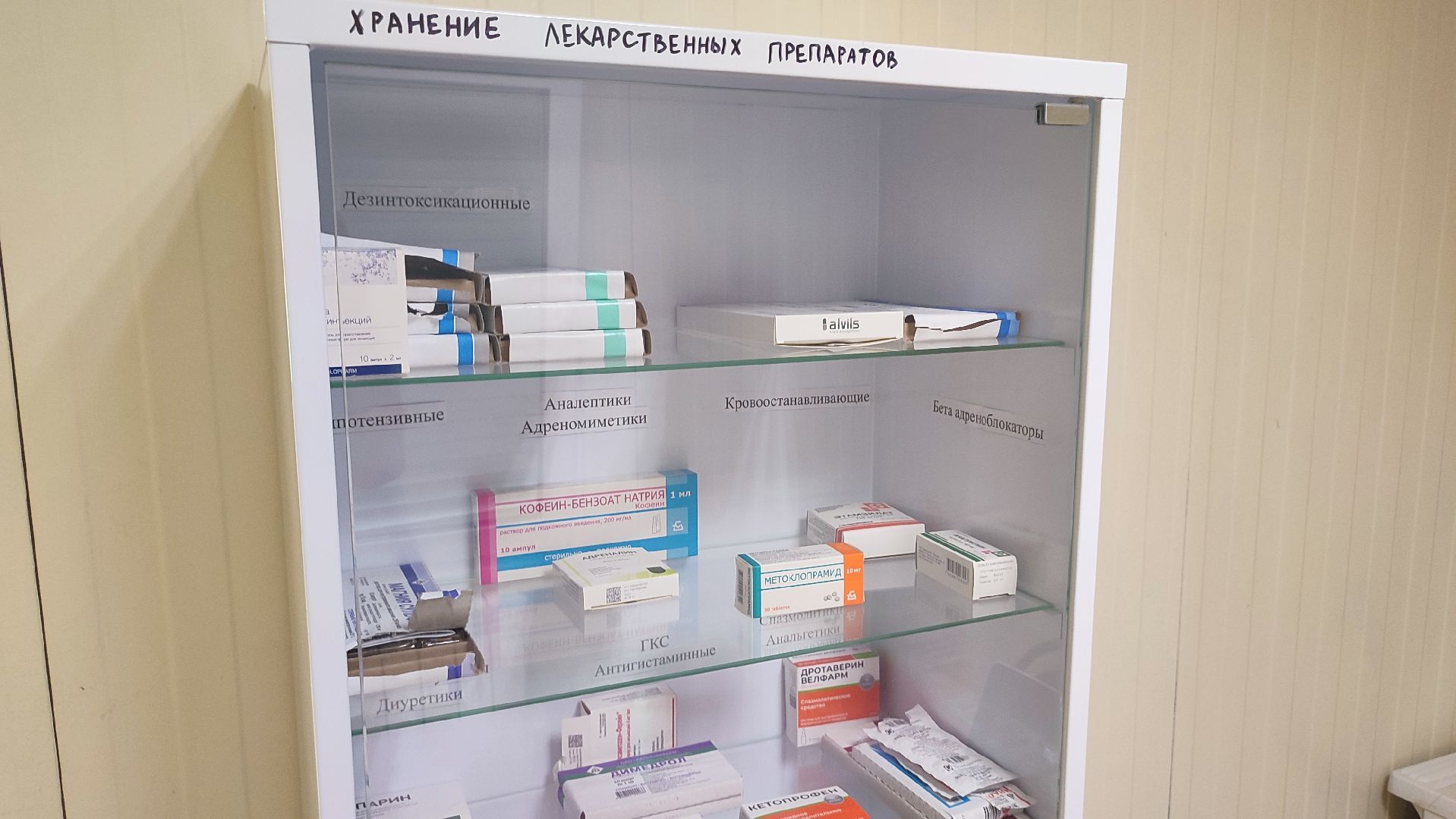 кашира, выездная администрация, медицина, фап, фельдшер, лекарства, вертикалки,