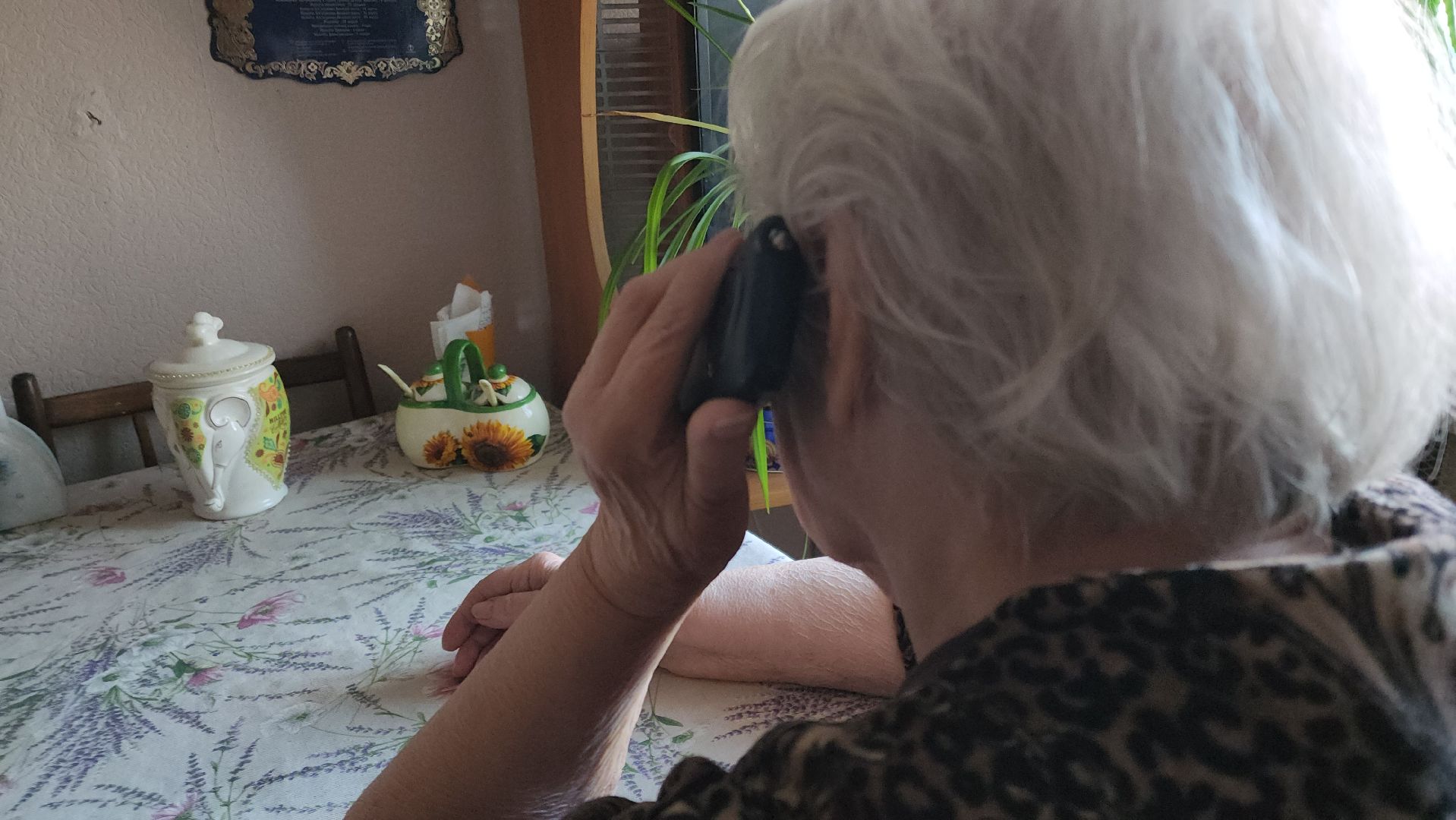 Черноголовка, ура победе, Годовщина вов,