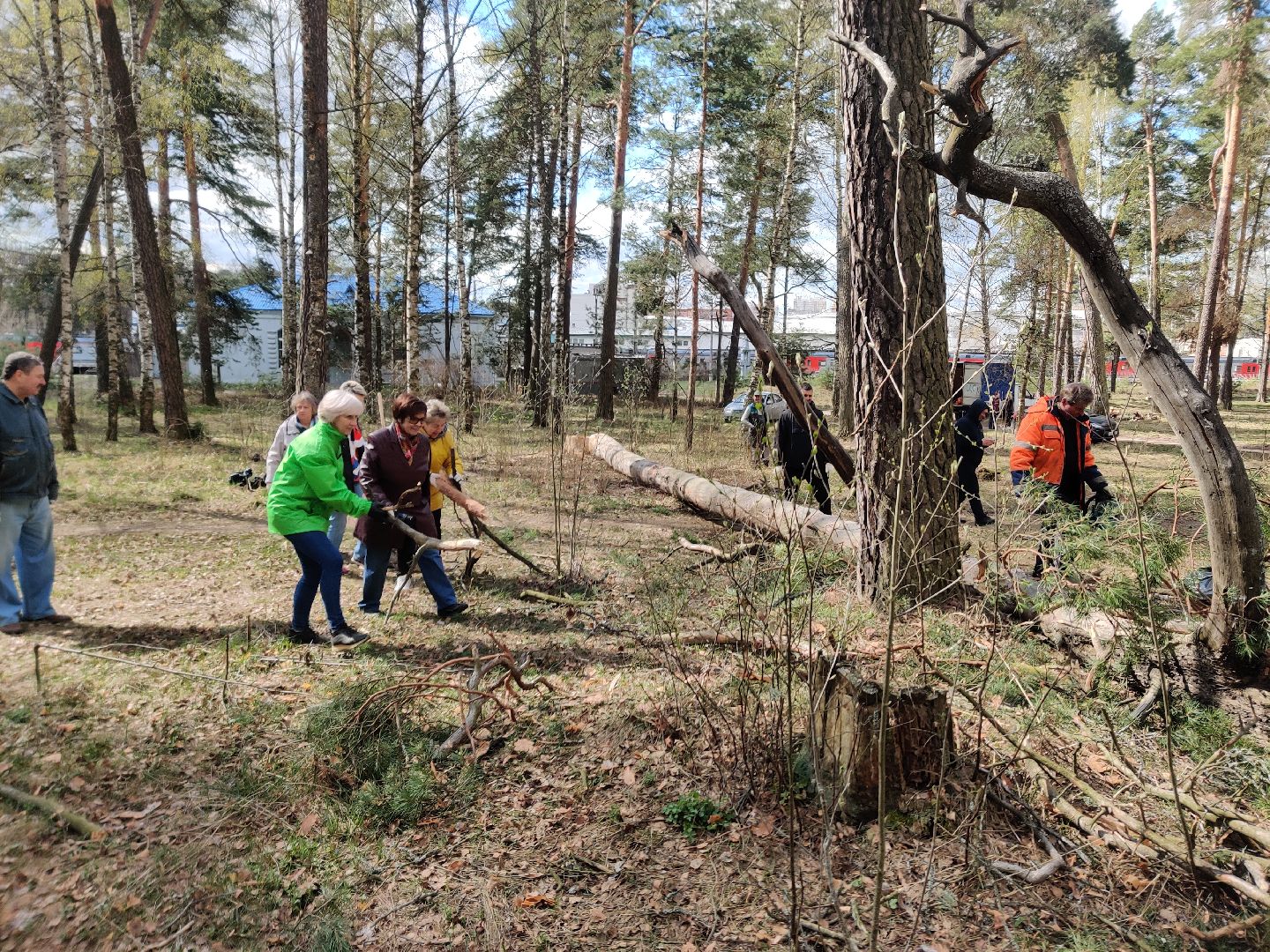 Красноармейск, Пушкинский, Банный лес, субботник, общественники