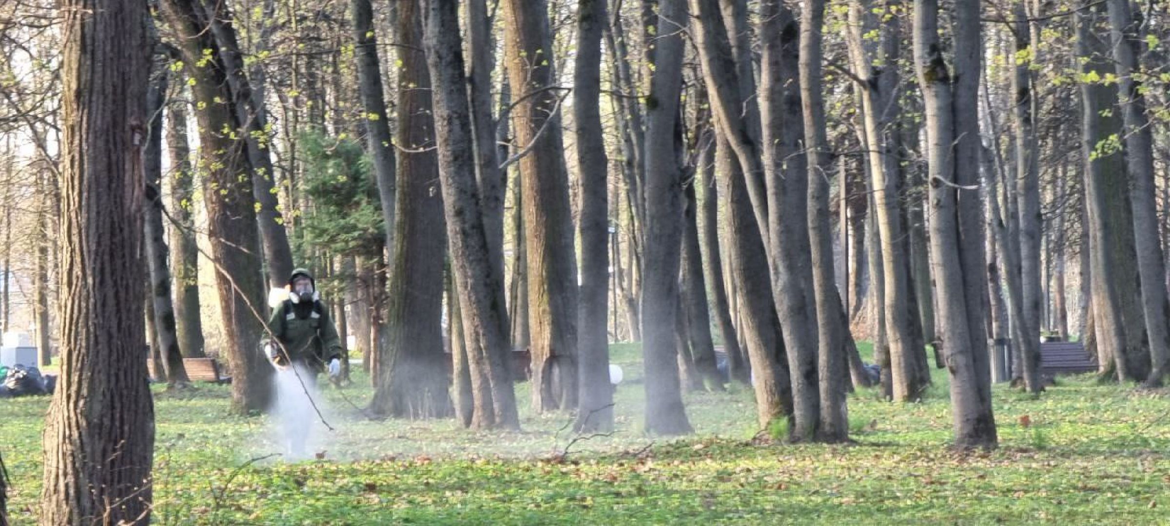 парк, противоклещевая обработка, клещи, Лосино-Петровский