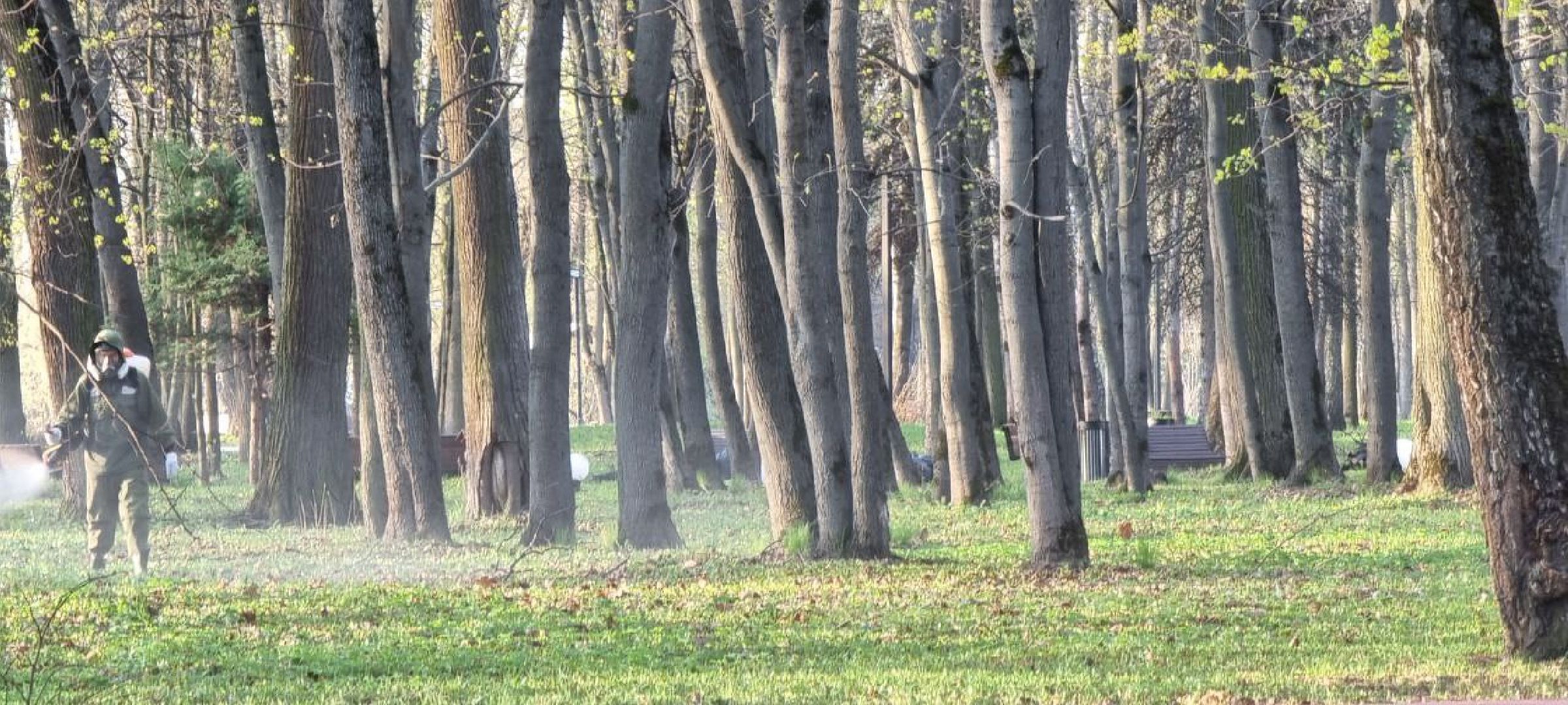 парк, противоклещевая обработка, клещи, Лосино-Петровский