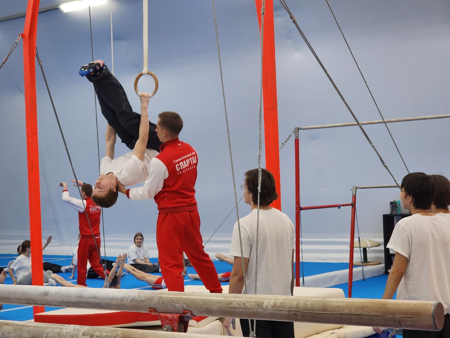 Спорт, Фок, Спортивная гимнастика,