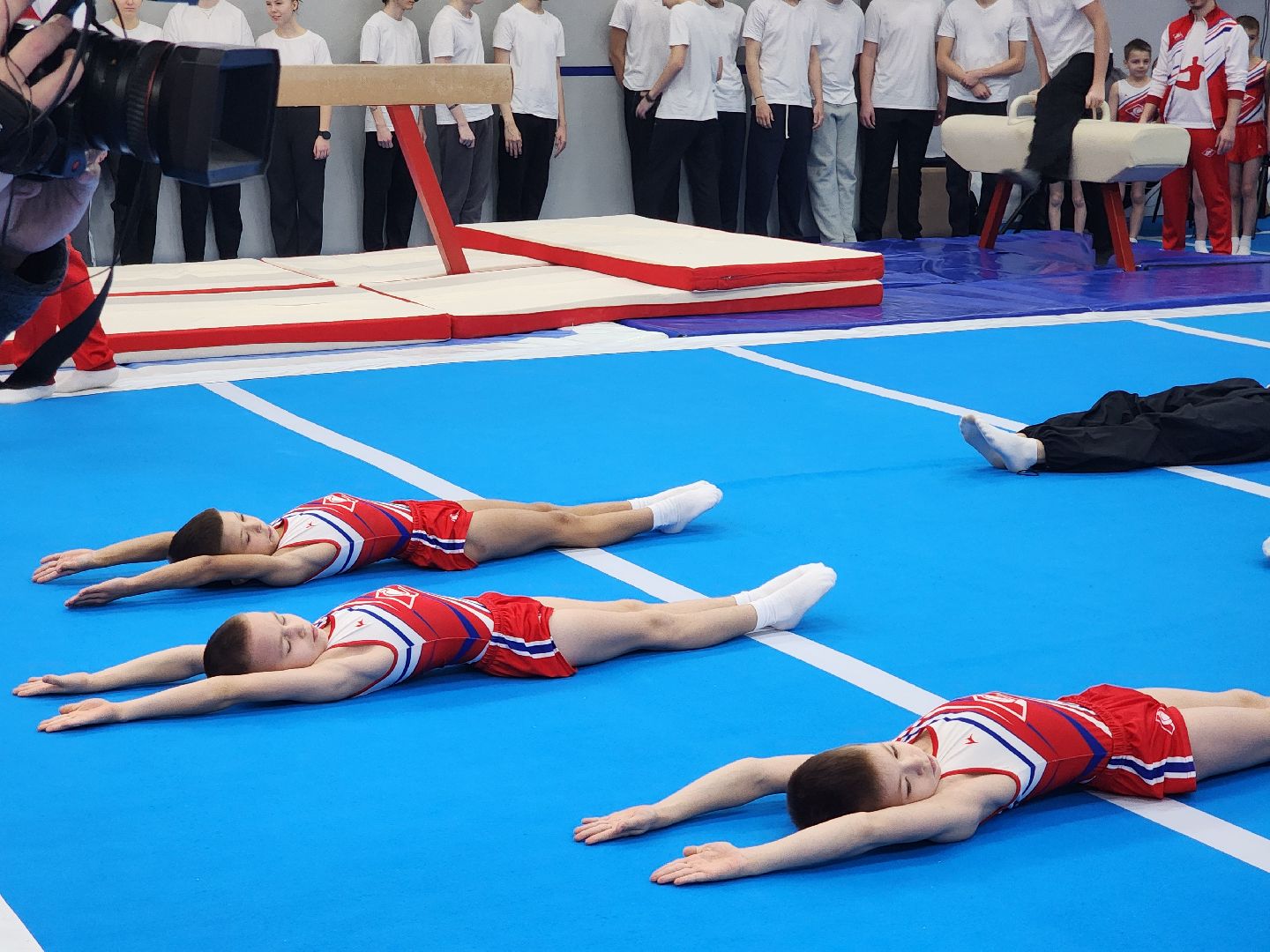 Спорт, Фок, Спортивная гимнастика,