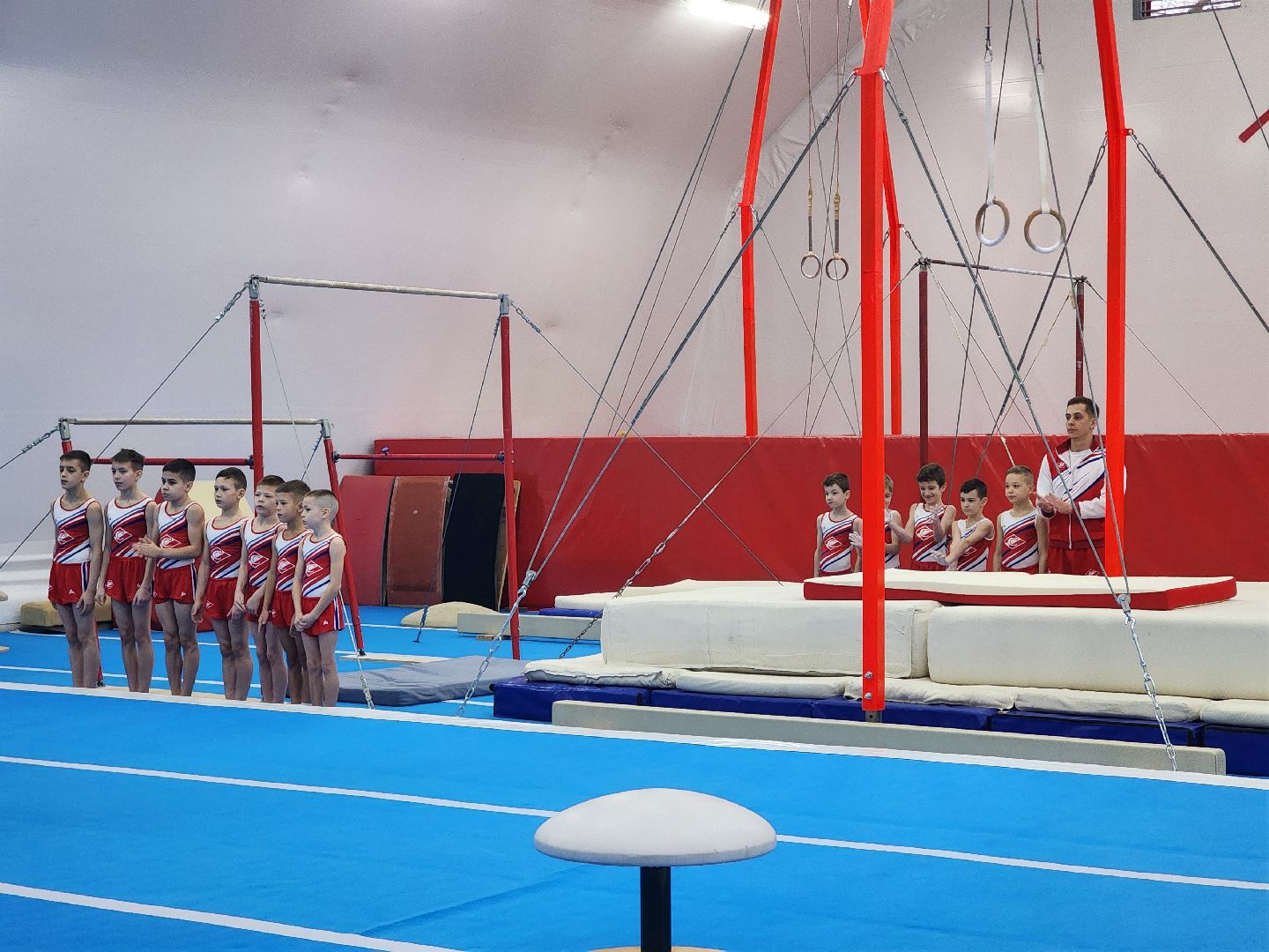 Спорт, Фок, Спортивная гимнастика,