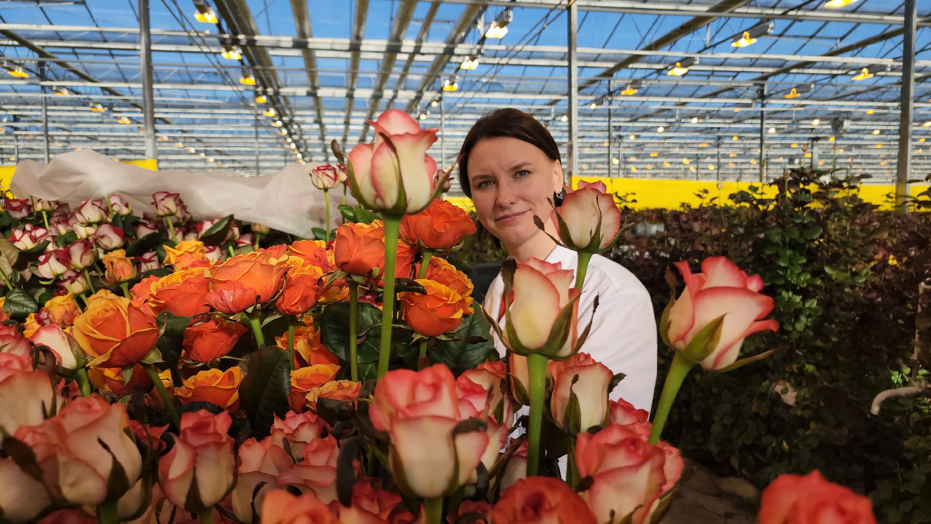 ступино, 8 марта, тепличный комплекс, экономика, вертикалки,