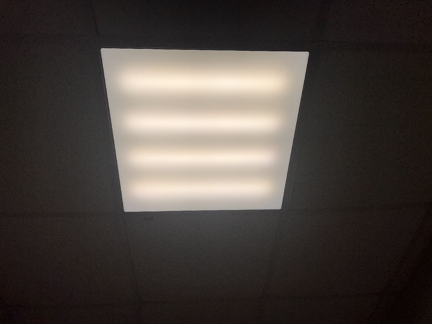 Шаховская, ремонт, поликлиника