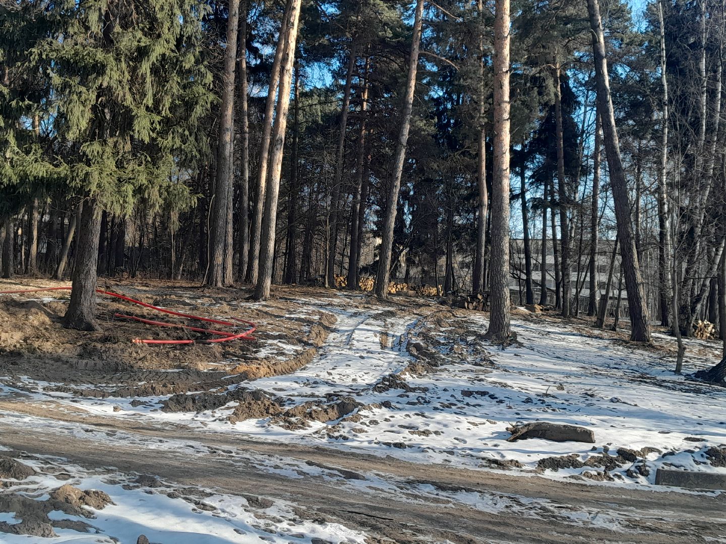 кучинский парк, благоустройство, балашиха, парки,