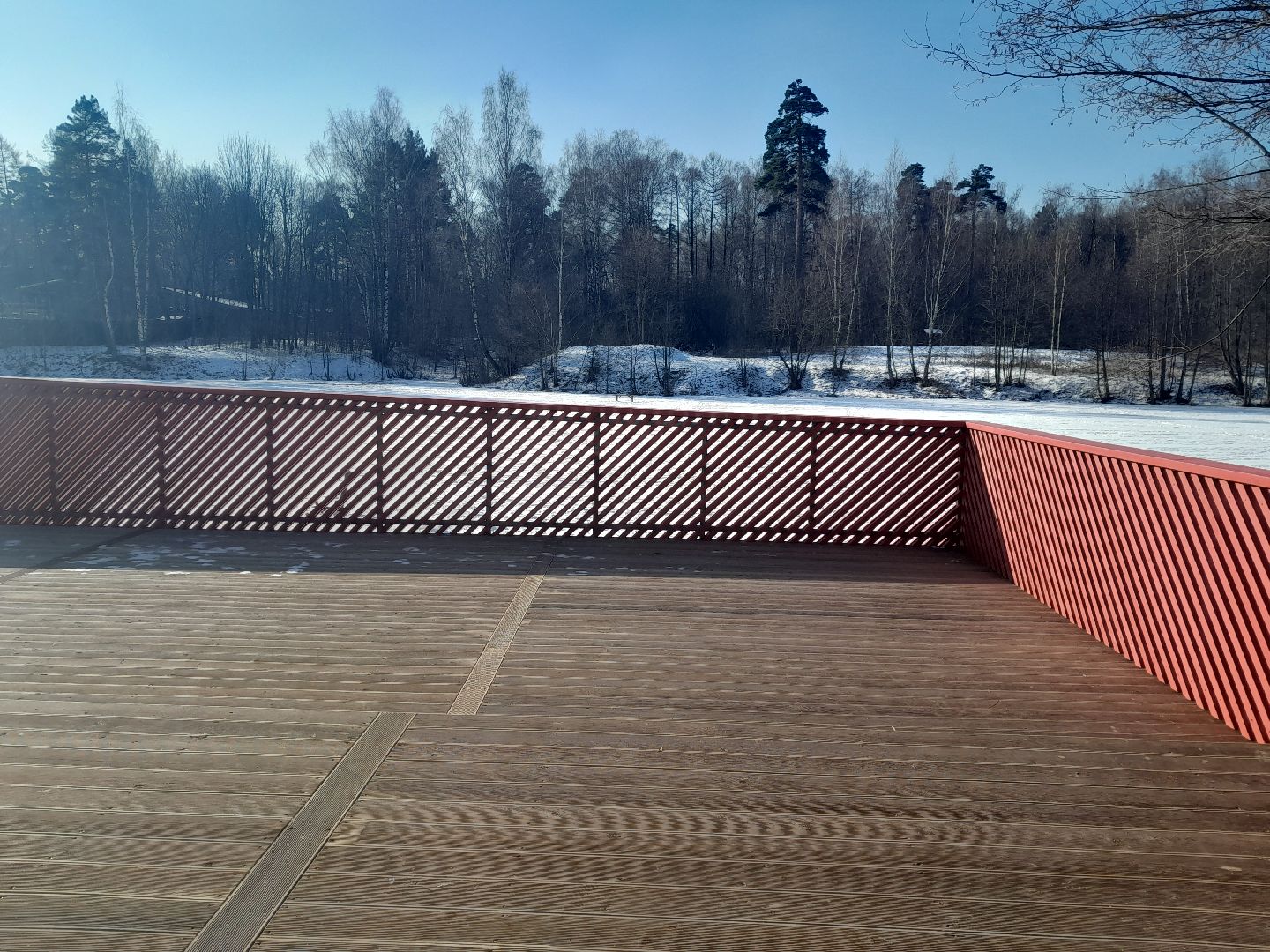 кучинский парк, благоустройство, балашиха, парки,