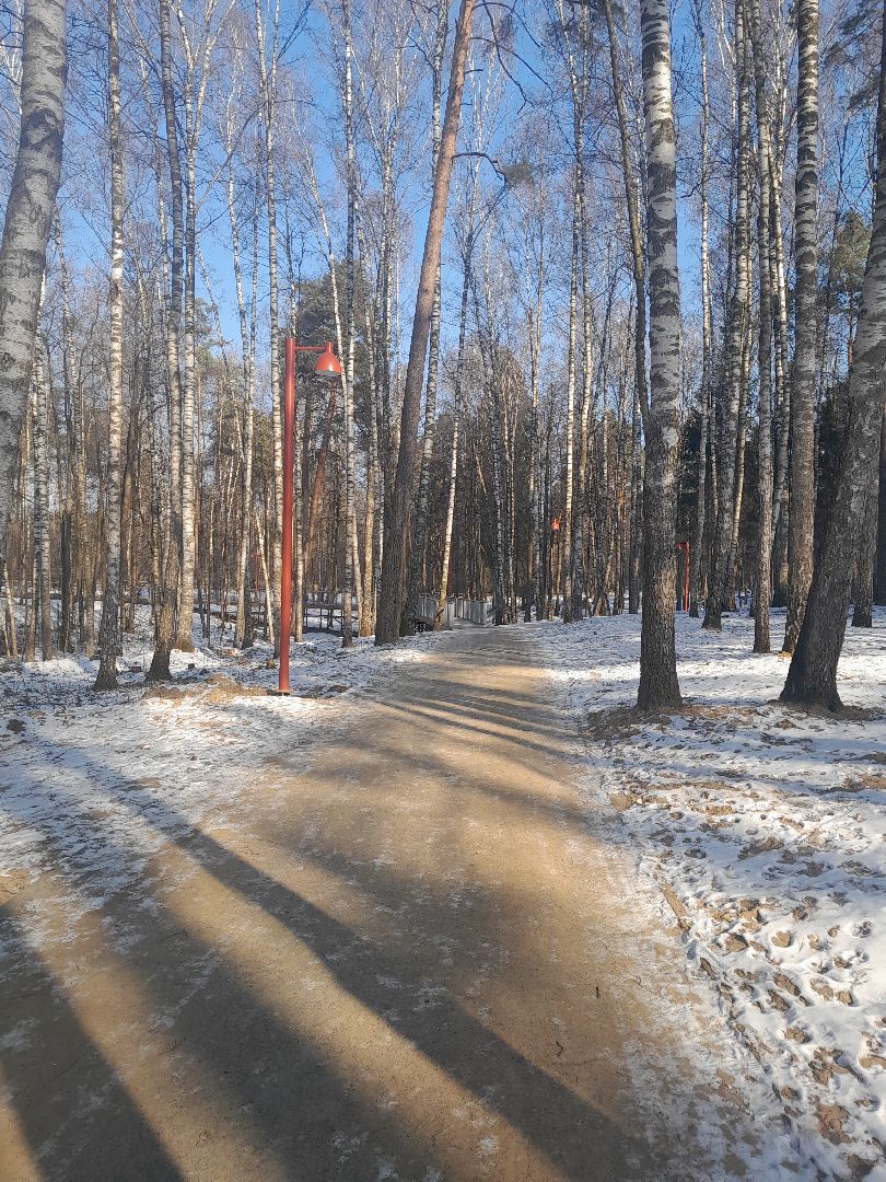 кучинский парк, благоустройство, балашиха, парки,