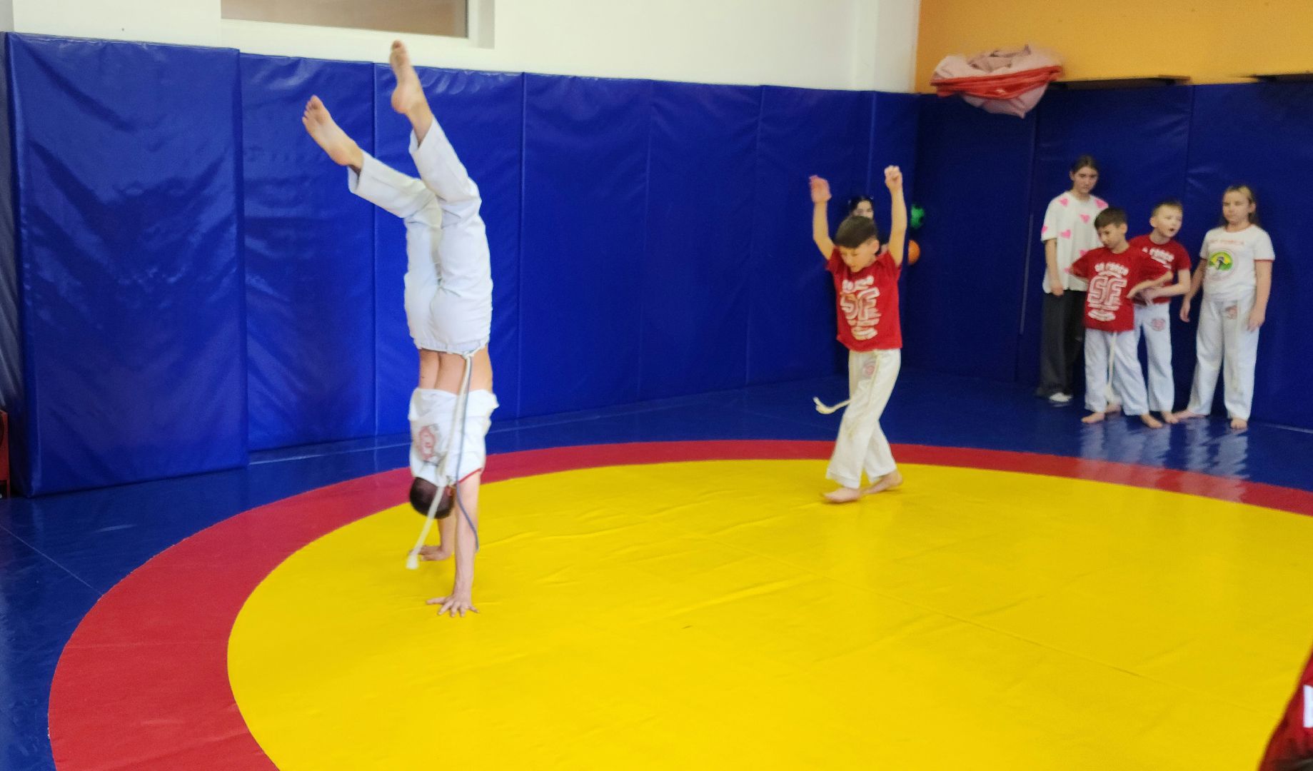 Химки, Спорт, капоэйра, вертикалки,