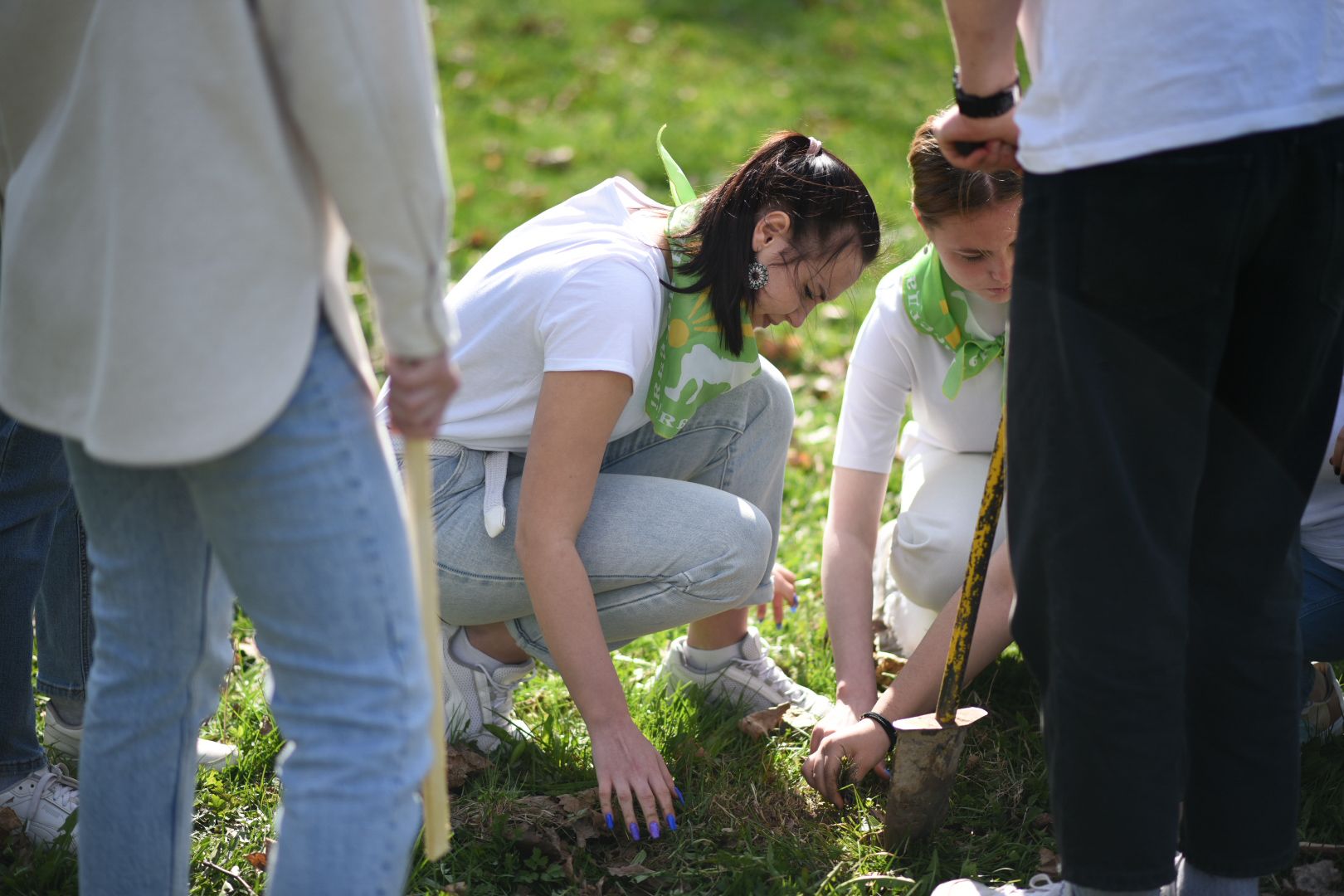 Бронницы, деревья, юбилей